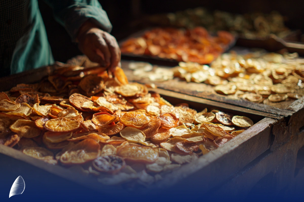 صادرات میوه خشک به اروپا