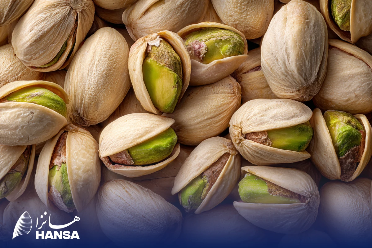 صادرات پسته به عراق