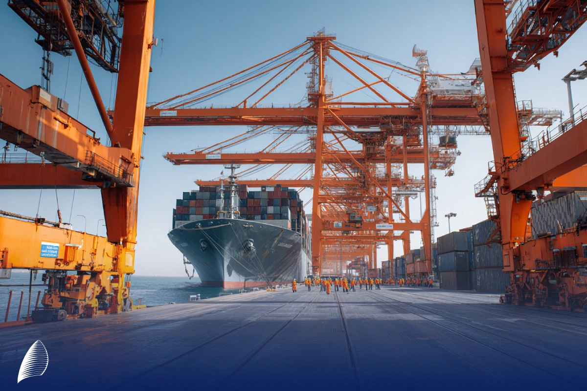 انواع پنل خورشیدی وارداتی