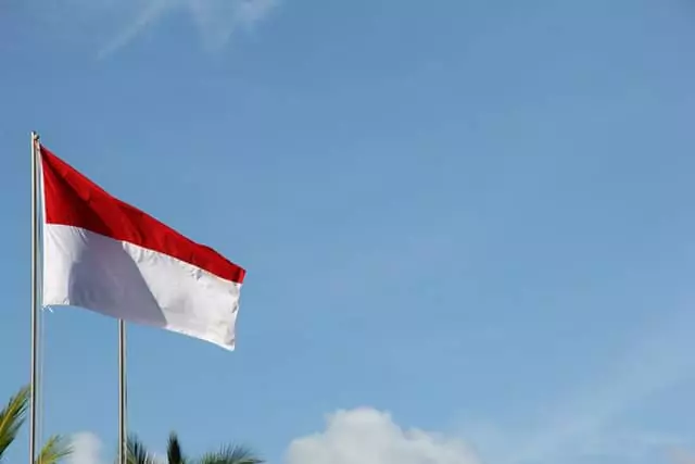حمل و نقل بین المللی به اندونزی